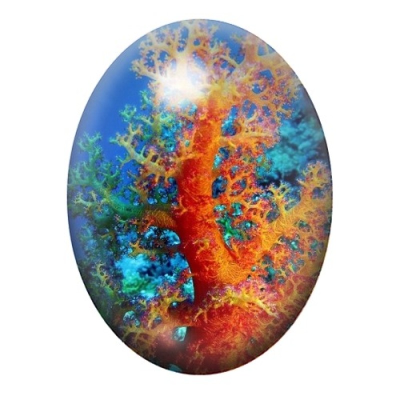 Cabochon en Verre Illustré Mer, Été, Corail 13x18, 18x25 ou 30x40mm