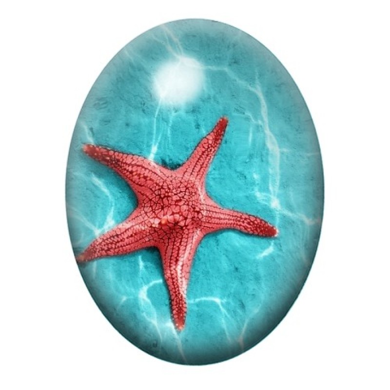 Cabochon en Verre Illustré Etoile de Mer, Été 13x18, 18x25 ou 30x40mm