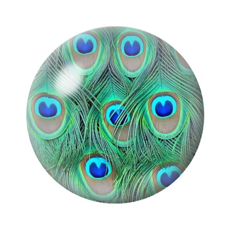Cabochon en Verre Illustré Paon 12 à 25mm