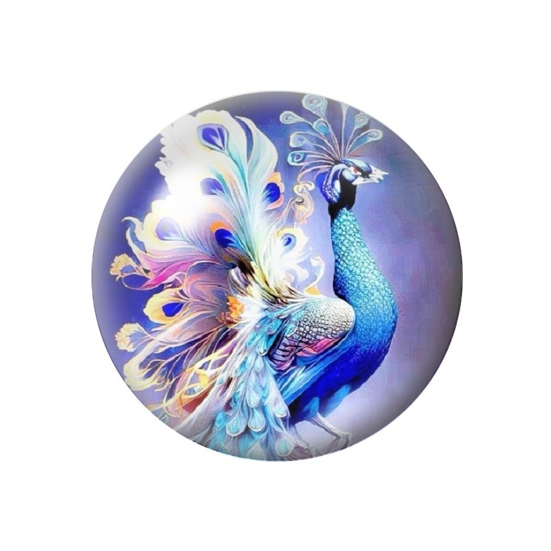 Cabochon en Verre Illustré Paon 12 à 25mm