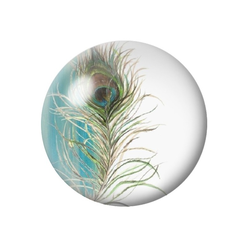 Cabochon en Verre Illustré Paon 12 à 25mm