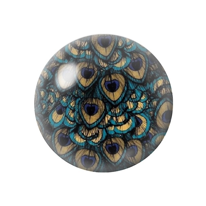 Cabochon en Verre Illustré Paon 12 à 25mm