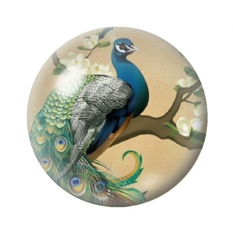 Cabochon en Verre Illustré Paon 12 à 25mm