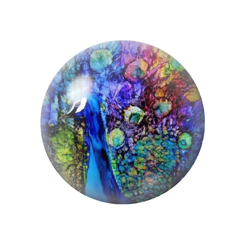 Cabochon en Verre Illustré Paon 12 à 25mm