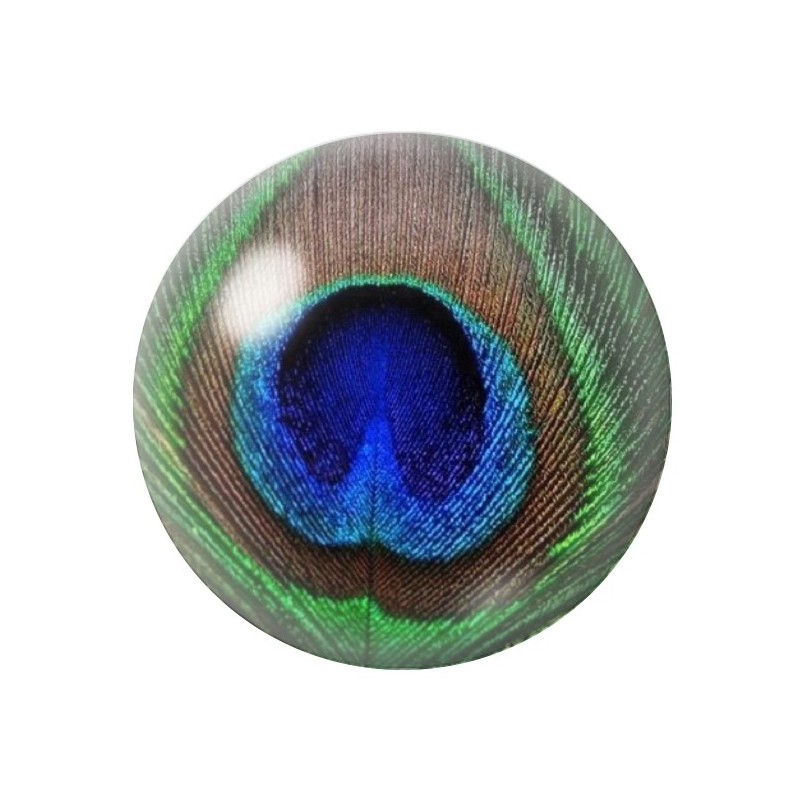 Cabochon en Verre Illustré Paon 12 à 25mm