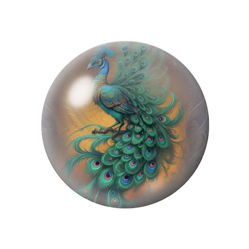 Cabochon en Verre Illustré Paon 12 à 25mm