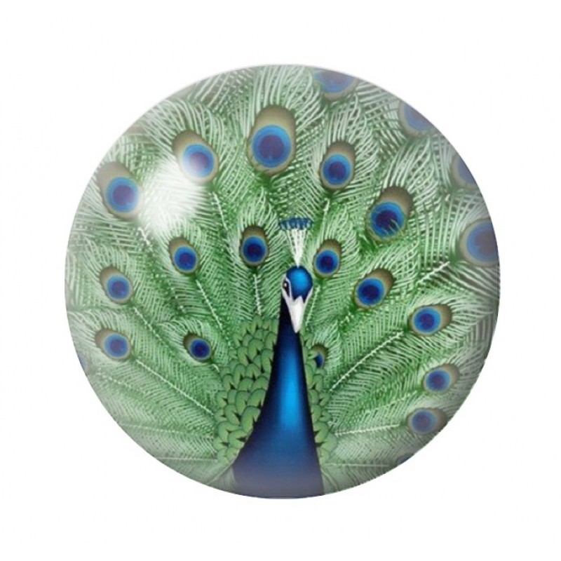 Cabochon en Verre Illustré Paon 12 à 25mm
