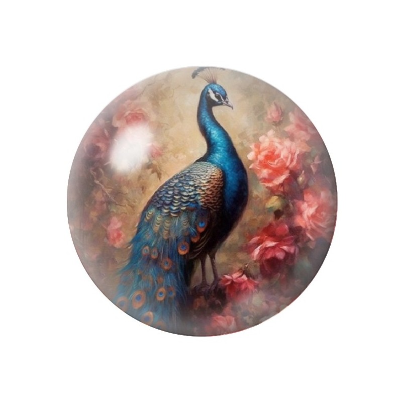 Cabochon en Verre Illustré Paon 12 à 25mm
