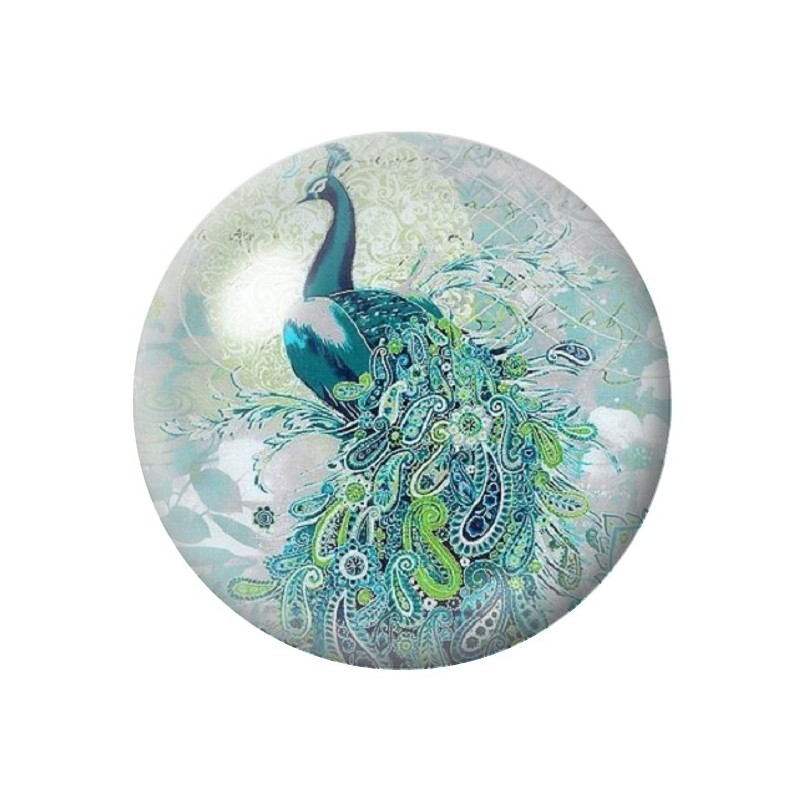 Cabochon en Verre Illustré Paon 12 à 25mm
