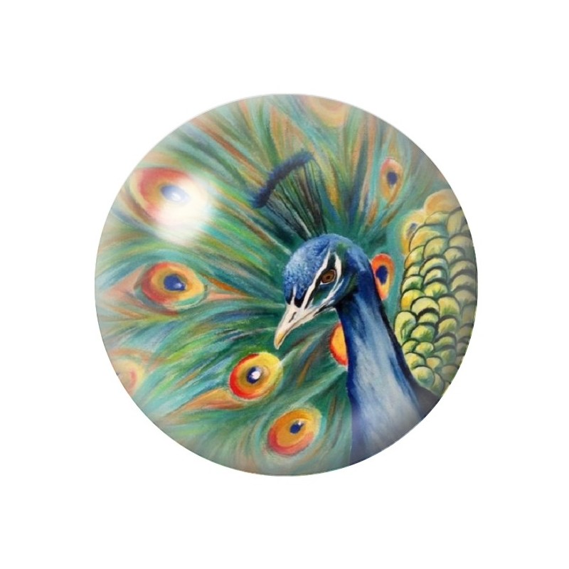 Cabochon en Verre Illustré Paon 12 à 25mm