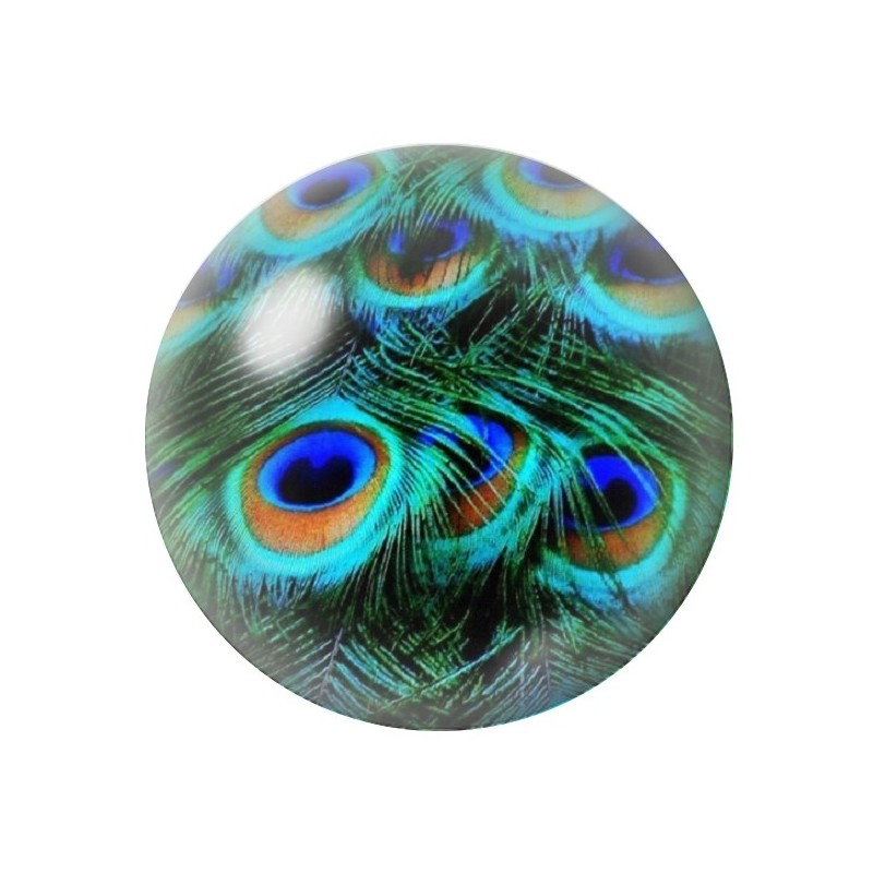 Cabochon en Verre Illustré Paon 12 à 25mm