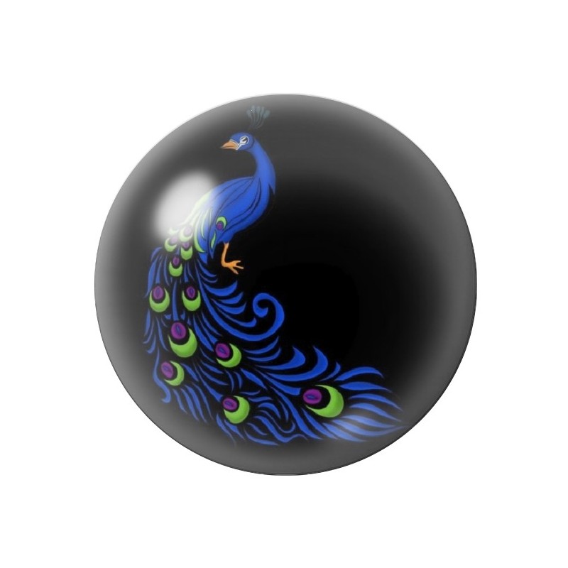 Cabochon en Verre Illustré Paon 12 à 25mm