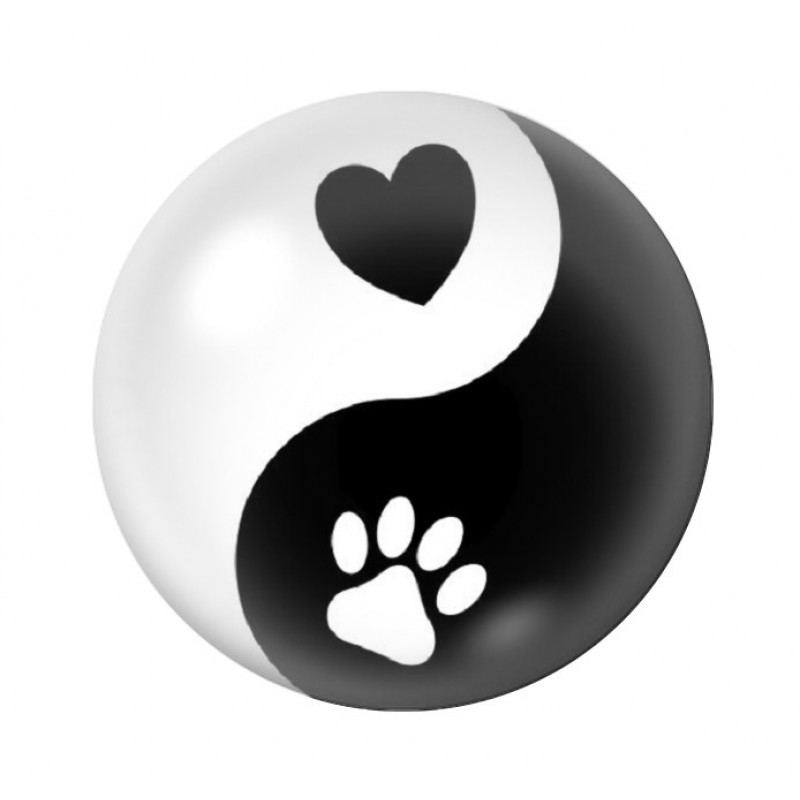 Cabochon en Verre Illustré Yin Yang Coeurs Patte Chat Chien 12 à 25mm