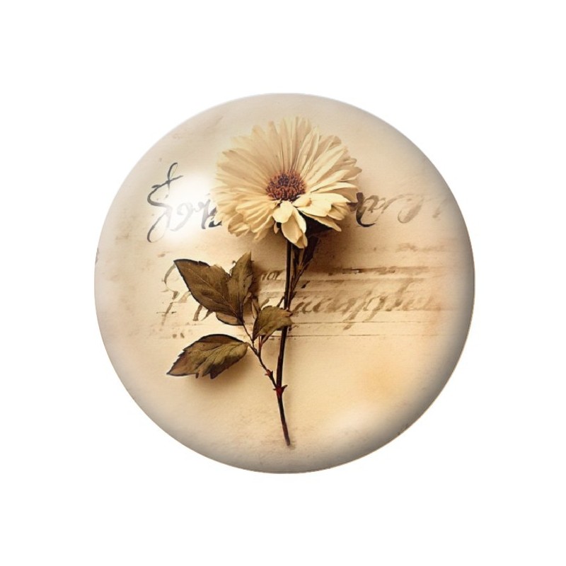 Cabochon en Verre Illustré Fleurs 12 à 25mm