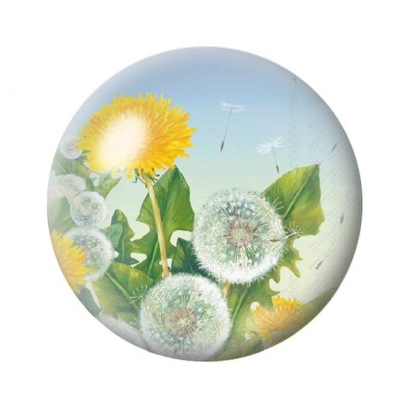 Cabochon en Verre Illustré Fleurs 12 à 25mm
