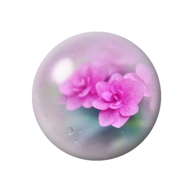 Cabochon en Verre Illustré Fleurs 12 à 25mm