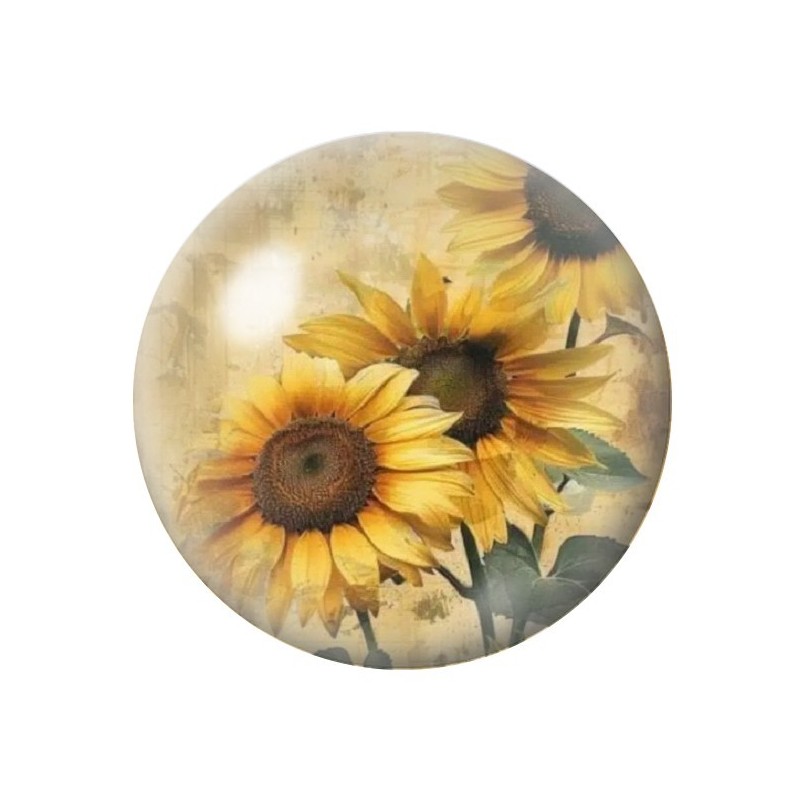 Cabochon en Verre Illustré Fleurs 12 à 25mm