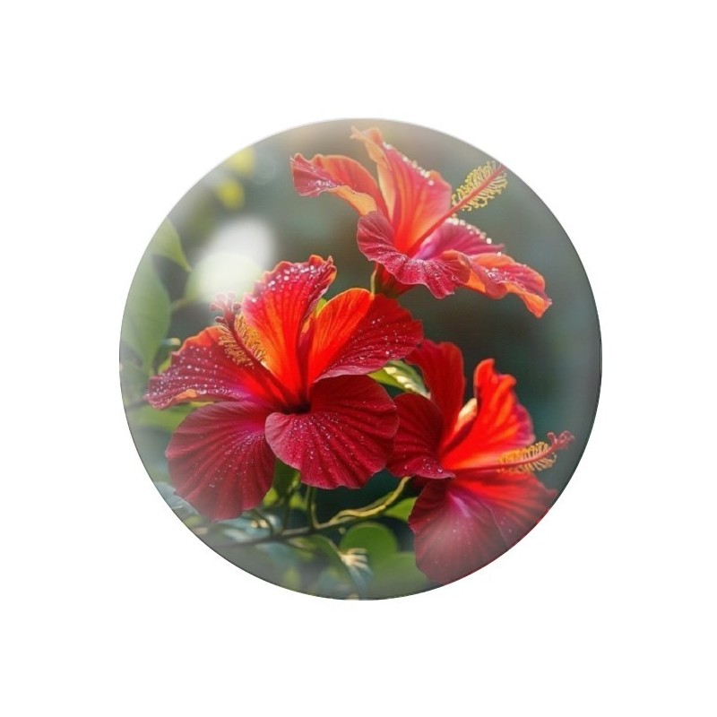 Cabochon en Verre Illustré Fleurs 12 à 25mm