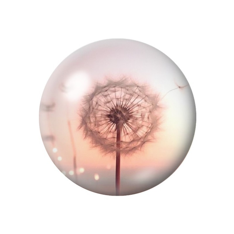 Cabochon en Verre Illustré Fleurs 12 à 25mm