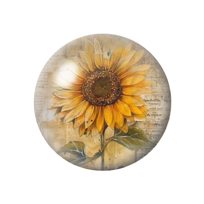 Cabochon en Verre Illustré Fleurs 12 à 25mm