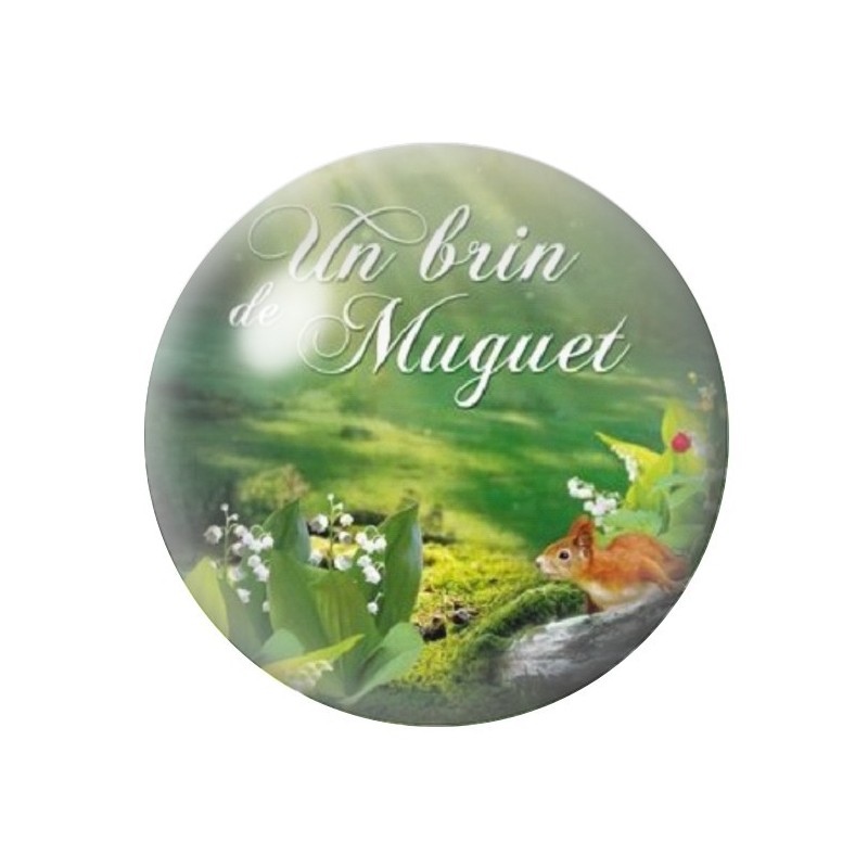 Cabochon en Verre Illustré Fleurs 12 à 25mm