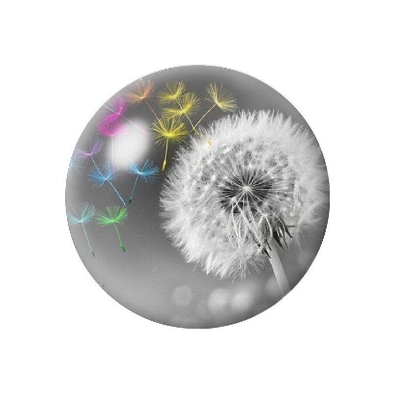 Cabochon en Verre Illustré Fleurs 12 à 25mm