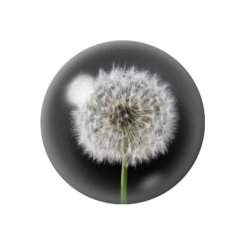 Cabochon en Verre Illustré Fleurs 12 à 25mm