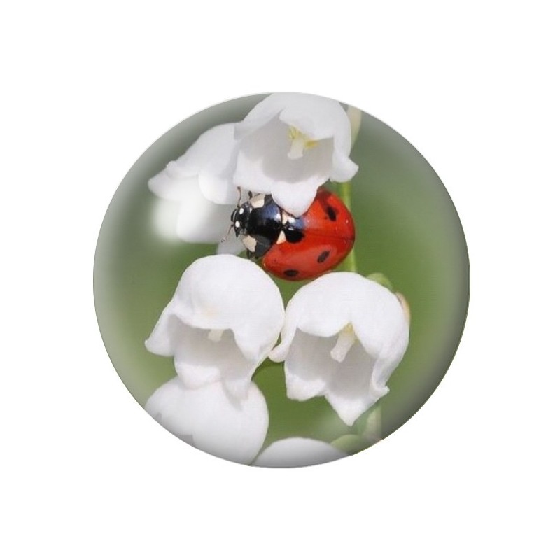 Cabochon en Verre Illustré Fleurs 12 à 25mm