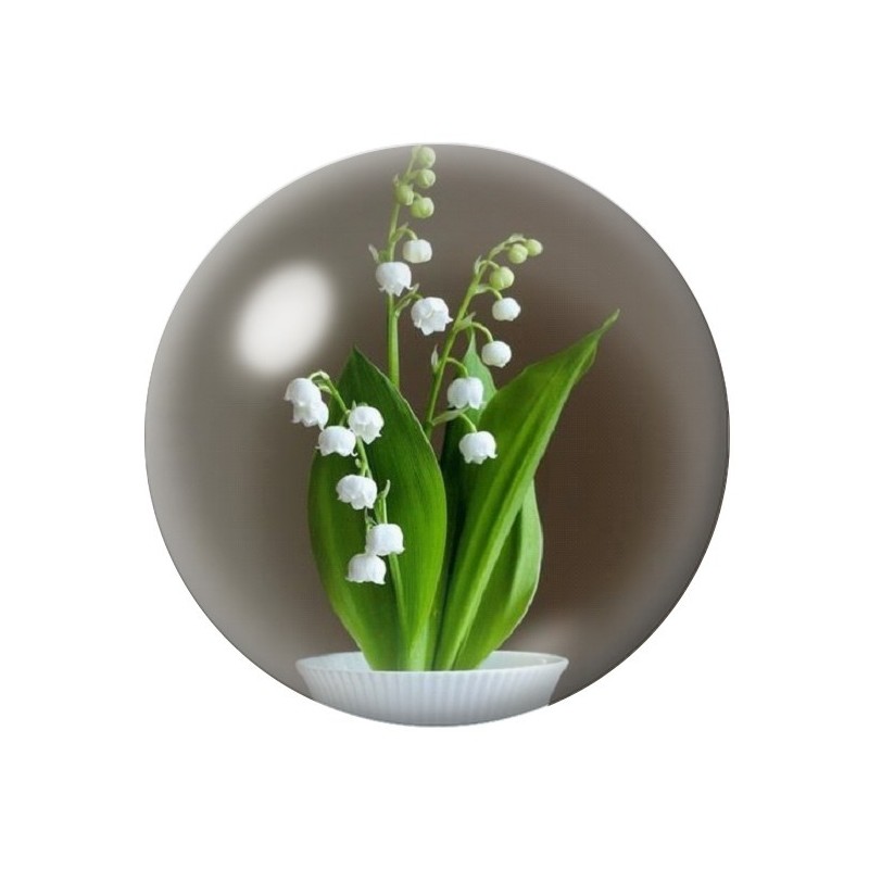 Cabochon en Verre Illustré Fleurs 12 à 25mm