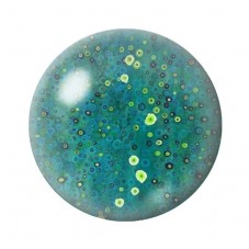 Cabochon en Verre Illustré Fleurs 12 à 25mm pour la création de bijoux fantaisie - DIY