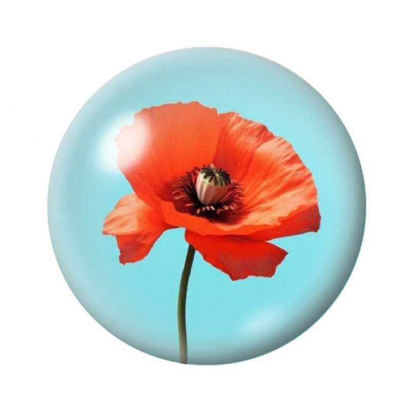 Cabochon en Verre Illustré Fleurs 12 à 25mm