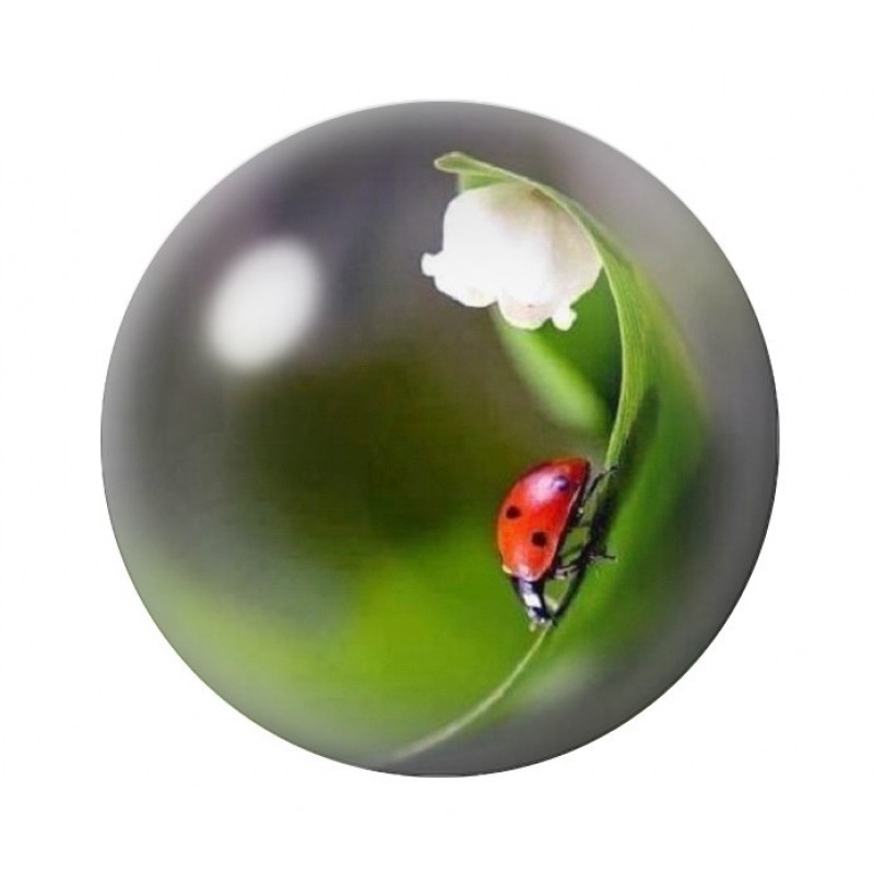 Cabochon en Verre Illustré Fleurs 12 à 25mm