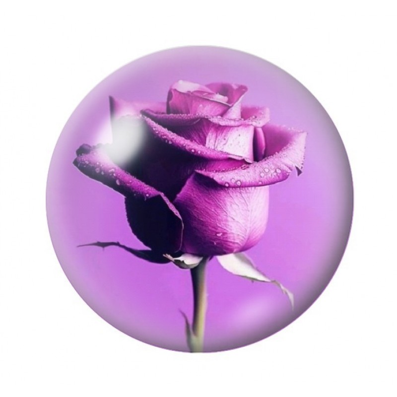 Cabochon en Verre Illustré Fleurs 12 à 25mm