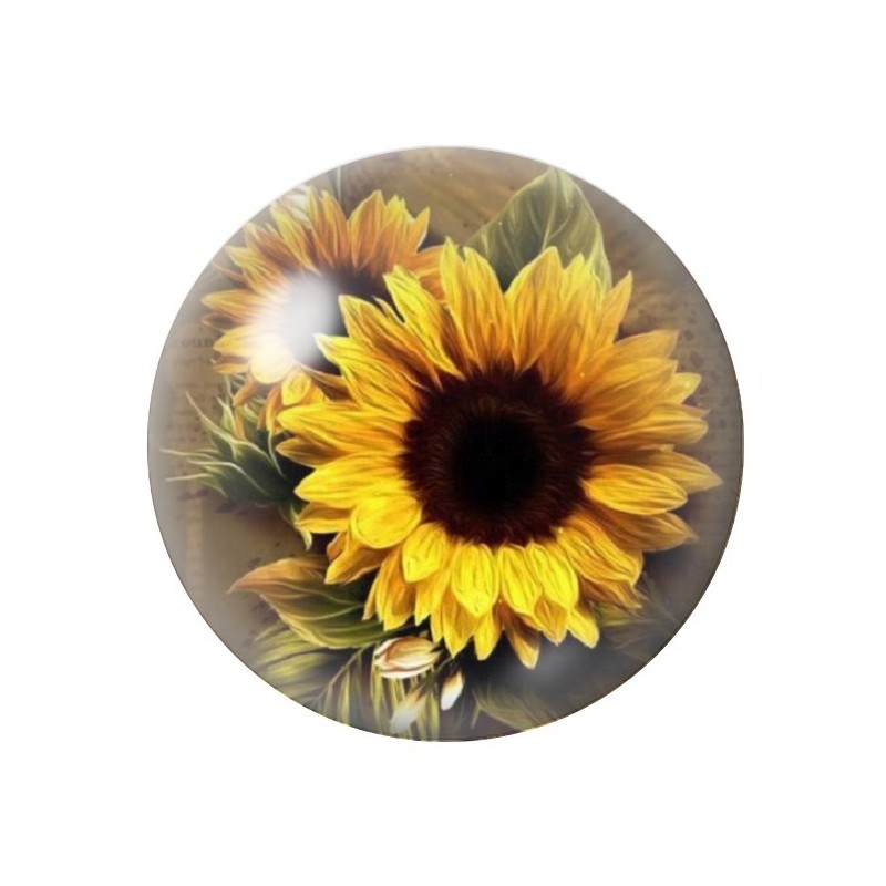 Cabochon en Verre Illustré Fleurs 12 à 25mm