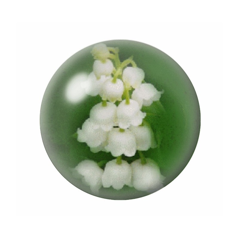Cabochon en Verre Illustré Fleurs 12 à 25mm