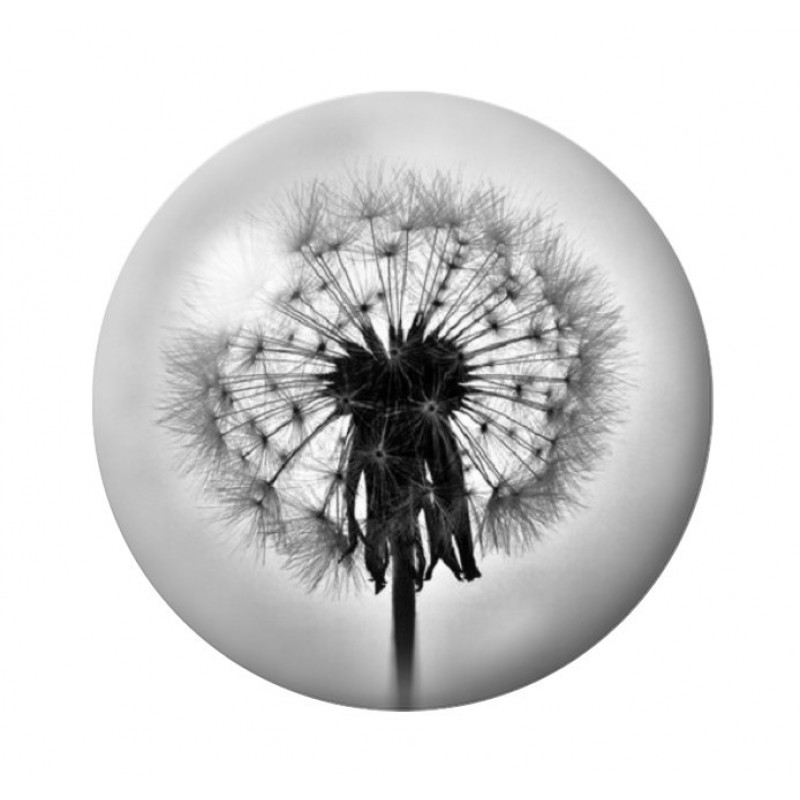 Cabochon en Verre Illustré Fleurs 12 à 25mm