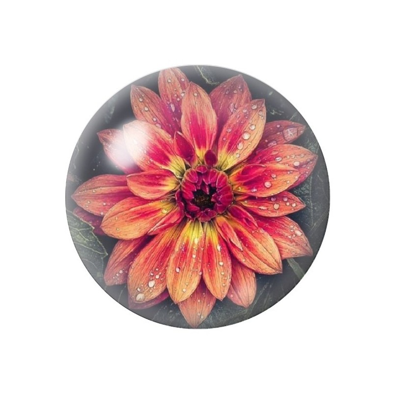 Cabochon en Verre Illustré Fleurs 12 à 25mm