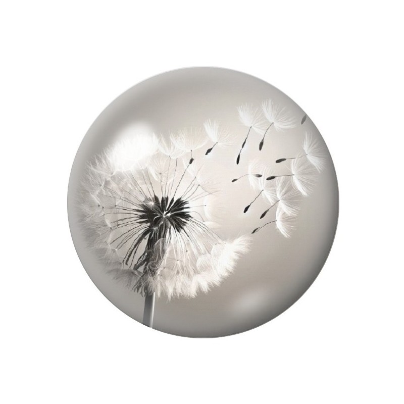 Cabochon en Verre Illustré Fleurs 12 à 25mm