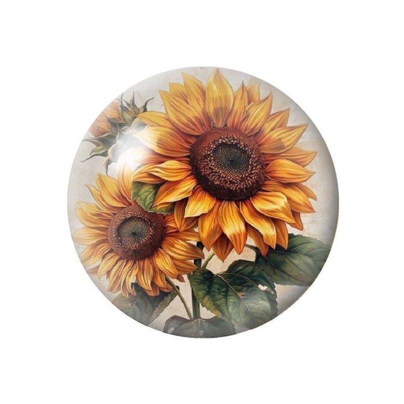 Cabochon en Verre Illustré Fleurs 12 à 25mm