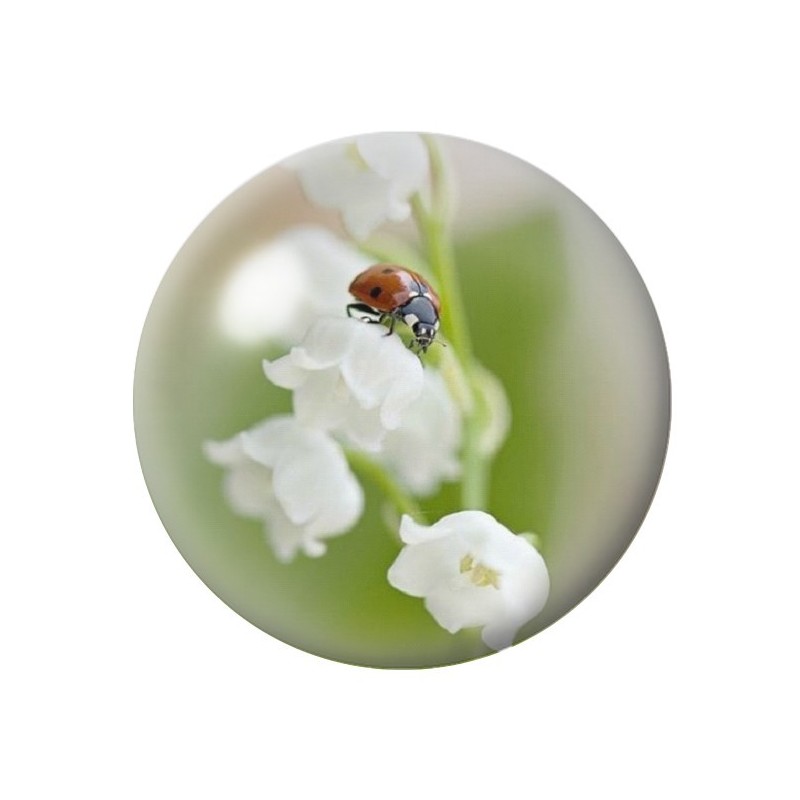 Cabochon en Verre Illustré Fleurs 12 à 25mm