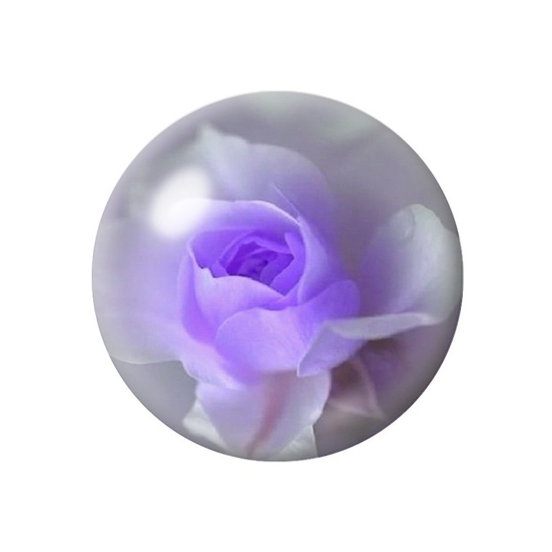 Cabochon en Verre Illustré Fleurs 12 à 25mm