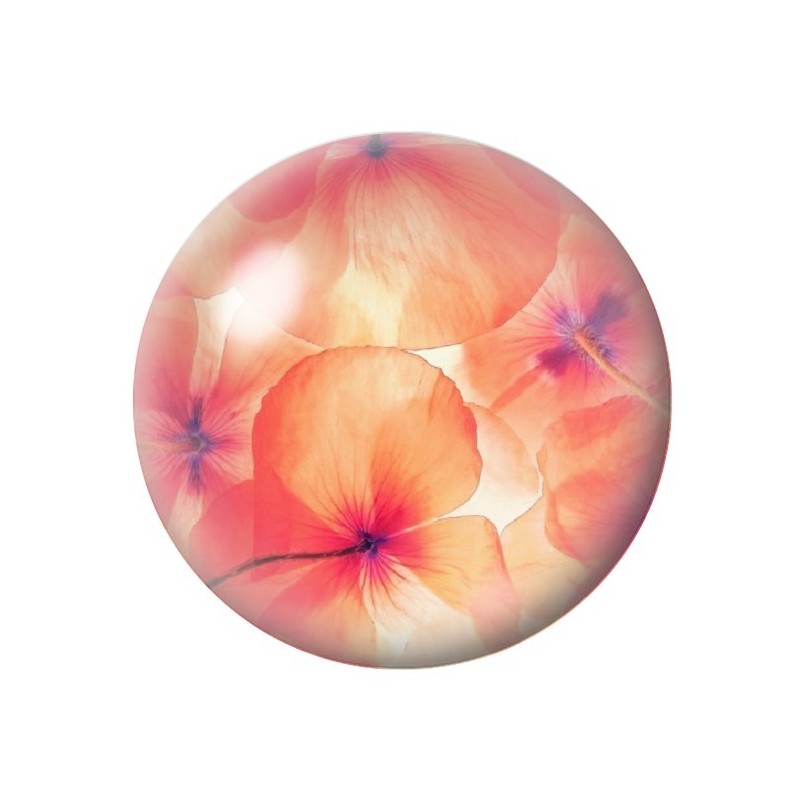 Cabochon en Verre Illustré Fleurs 12 à 25mm