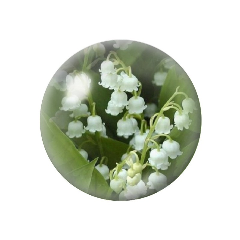 Cabochon en Verre Illustré Fleurs 12 à 25mm