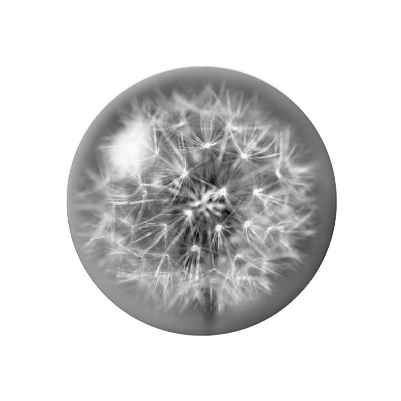 Cabochon en Verre Illustré Fleurs 12 à 25mm