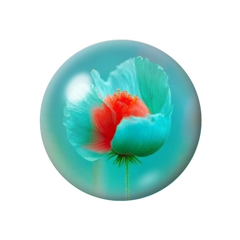 Cabochon en Verre Illustré Fleurs 12 à 25mm