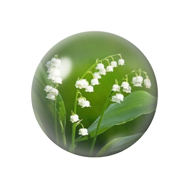 Cabochon en Verre Illustré Fleurs 12 à 25mm