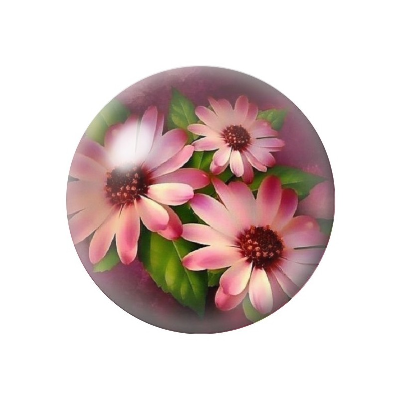 Cabochon en Verre Illustré Fleurs 12 à 25mm