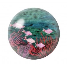 Cabochon en Verre Illustré Mer Été 12 à 25mm pour la création de bijoux fantaisie - DIY
