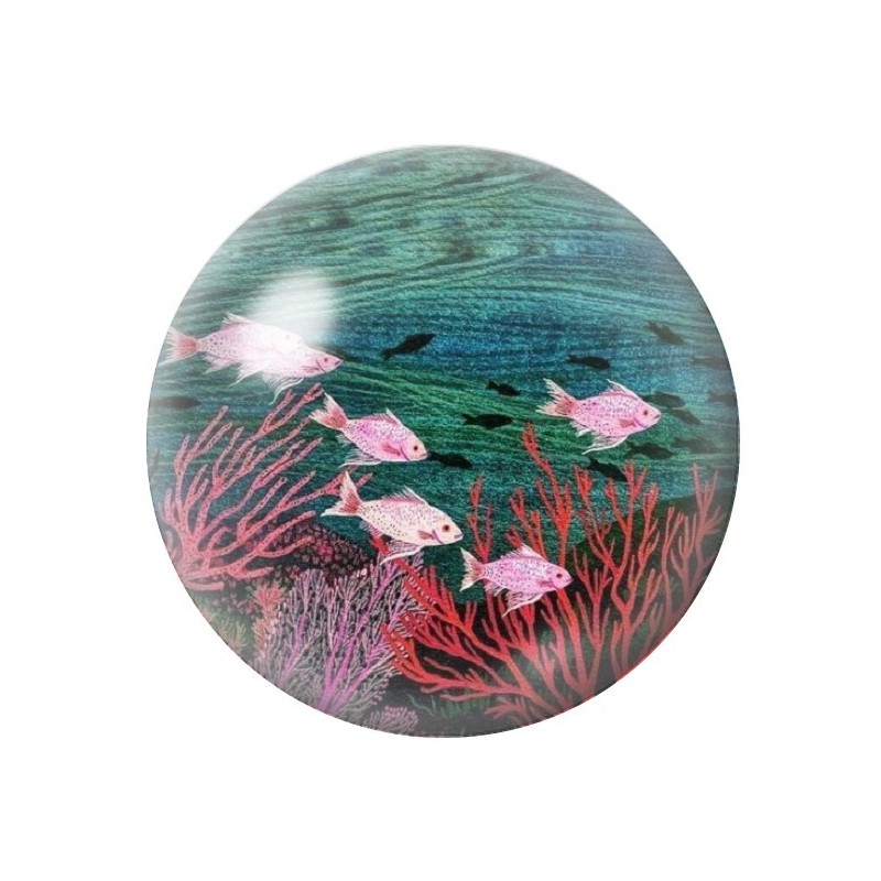 Cabochon en Verre Illustré Mer Été 12 à 25mm