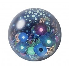 Cabochon en Verre Illustré Mer Été 12 à 25mm pour la création de bijoux fantaisie - DIY